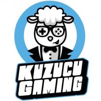 kuzucu gaming