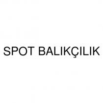 spot balıkçılık