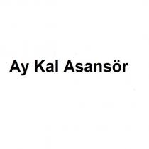 ay kal asansör