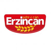 şehr-i can erzincan