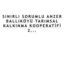 sınırlı sorumlu anzer ballıköyü tarımsal kalkınma kooperatifi 2..