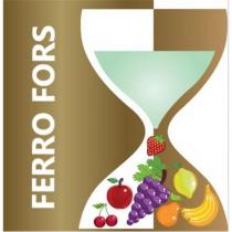 ferro fors