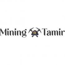 mining tamir