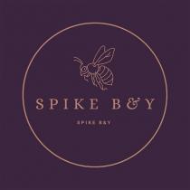 spıke b&y spike b & y