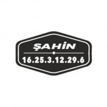 şahin 16.25.3.12.29.6