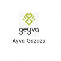 geyva ayva gazozu