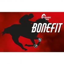 dynamic bone bonefit