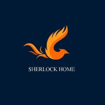 sherlock home
