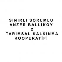 sınırlı sorumlu anzer ballıköy 2 tarımsal kalkınma kooperatifi