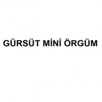 gürsüt mini örgüm
