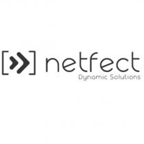 netfect dynamic solutions