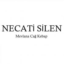 necati silen mevlana cağ kebap
