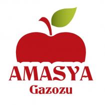 amasya gazozu