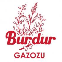 burdur gazozu