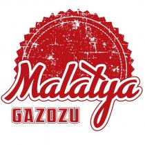 malatya gazozu