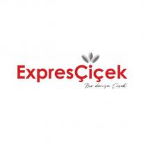 expres çiçek bir dünya çiçek