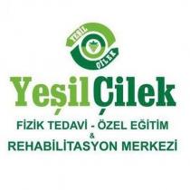 yeşil çilek fizik tedavi-özel eğitim & rehabilitasyon merkezi