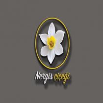 nergis çiçeği