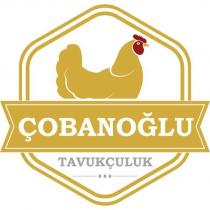 çobanoğlu tavukçuluk