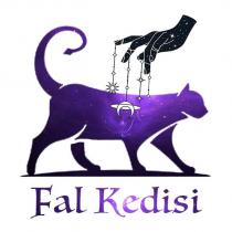 fal kedisi