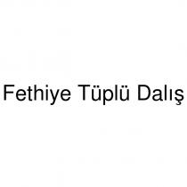 fethiye tüplü dalış