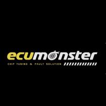 ecumonster chip tuning & fault solution