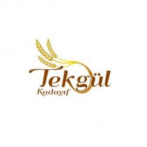 tekgül kadayıf