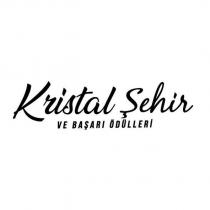 kristal şehir ve başarı ödülleri