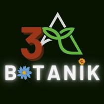 3a botanik