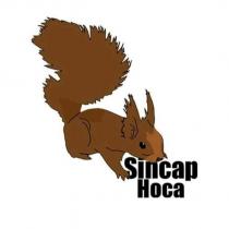sincap hoca