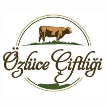 özlüce çiftliği