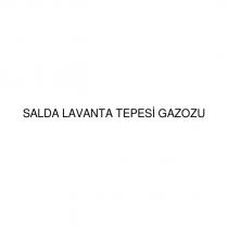 salda lavanta tepesi gazozu