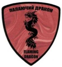 flaming dragon