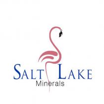 salt lake minerals