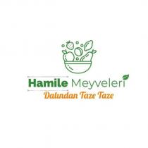hamile meyveleri dalından taze taze