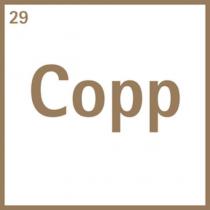 copp 29