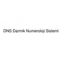 dns darmik numeroloji sistemi