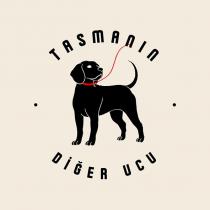 tasmanın diğer ucu