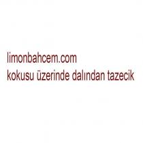 limonbahcem.com kokusu üzerinde dalından tazecik