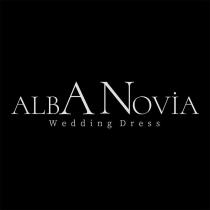 alba novia wedding dress