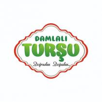 damlalı turşu doğrudan doğadan
