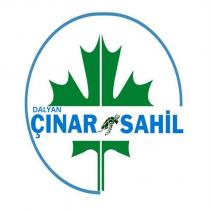 dalyan çınar sahil