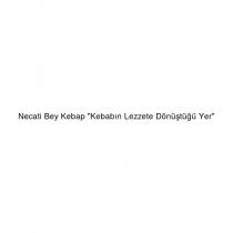 necati bey kebap 