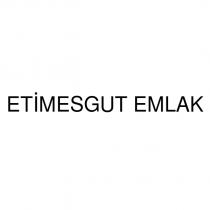 etimesgut emlak