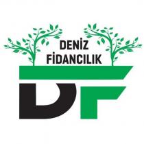 df deniz fidancılık