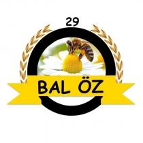 bal öz 29