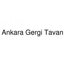 ankara gergi tavan