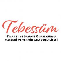 tebessüm ticaret ve sanayi odası gürsu mesleki ve teknik anadolu lisesi