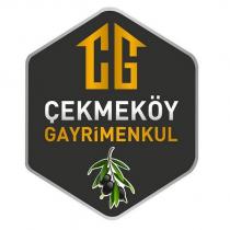 çg çekmeköy gayrimenkul