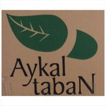 aykal taban